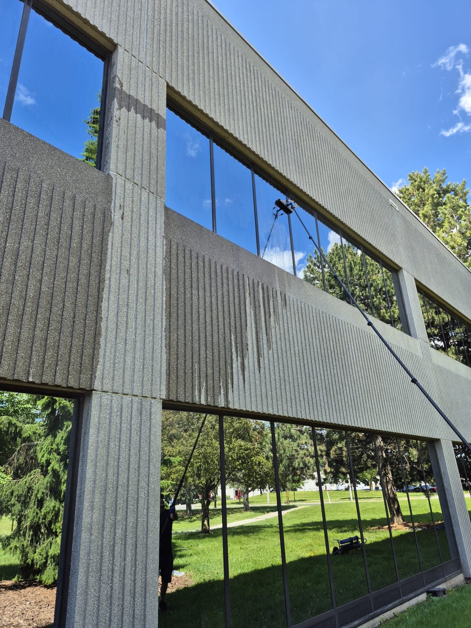 A freshly cleaned commercial glass facade